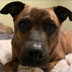 Meet your Posher, Shawna